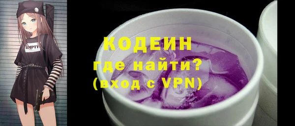 ешки Иннополис
