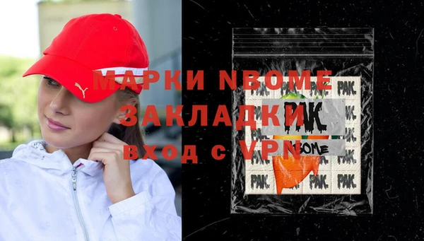 мдпв Каменка