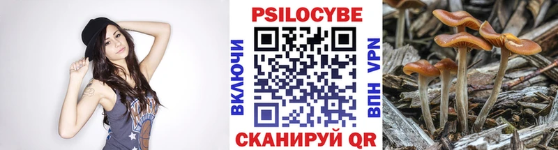 как найти закладки  Кимовск  blacksprut зеркало  Псилоцибиновые грибы Psilocybe 