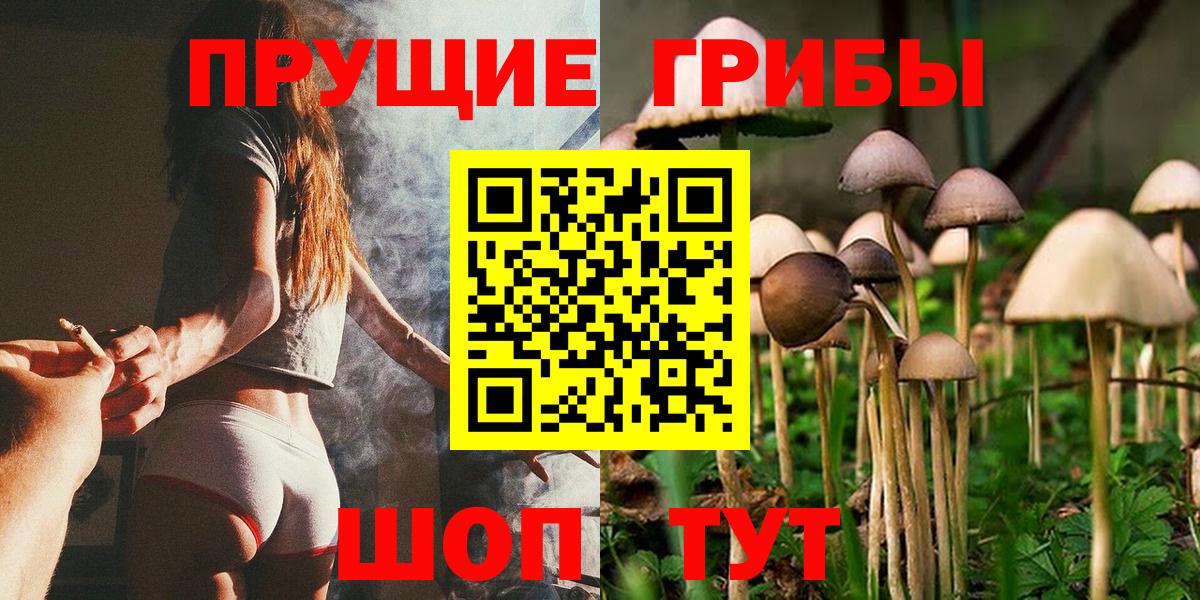 Псилоцибиновые грибы Magic Shrooms Кимовск