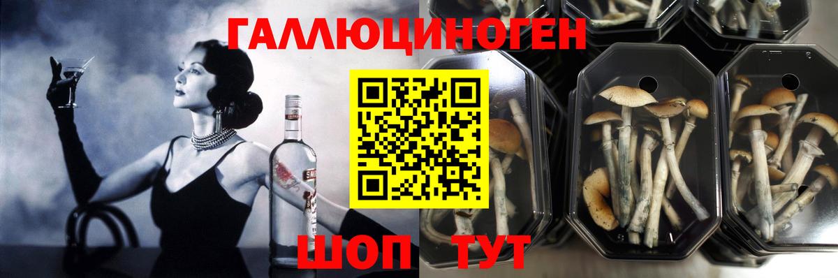 Кимовск  Галлюциногенные грибы ЛСД  Вход с VPN 