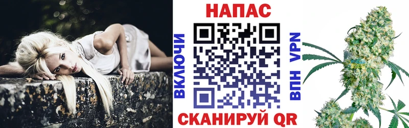 Бошки марихуана сатива  наркошоп  Кимовск 
